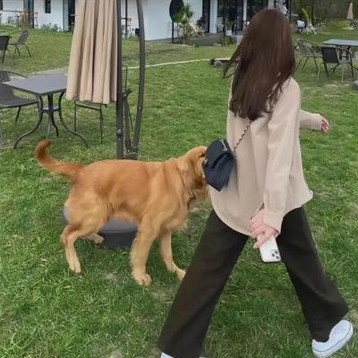 憨豆先生的大灾难